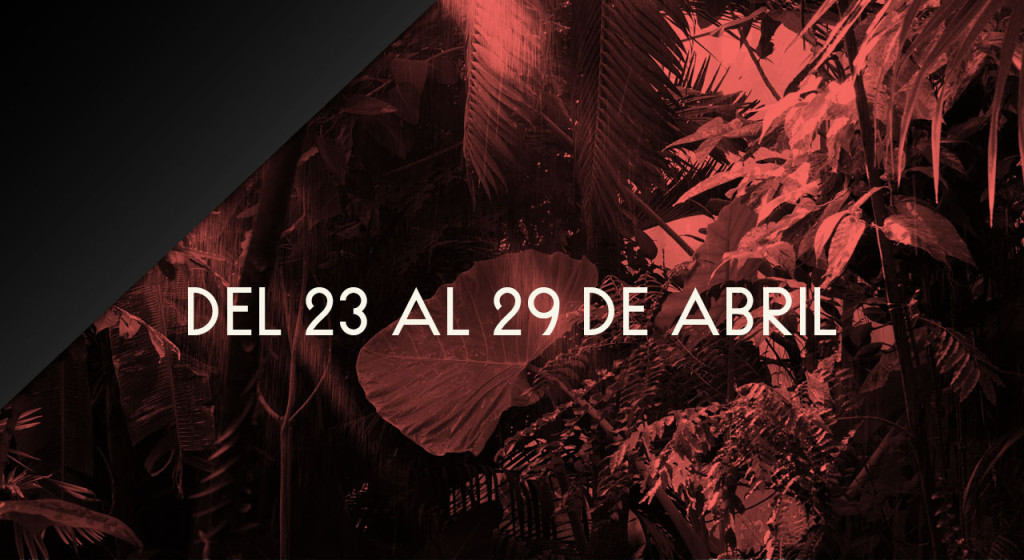 sliders-fechas-rmff-2015-playa-del-carmen